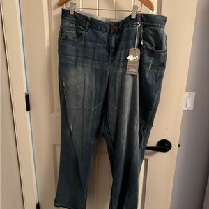 Wit and Wisdom blue Jean BNNW size 20W